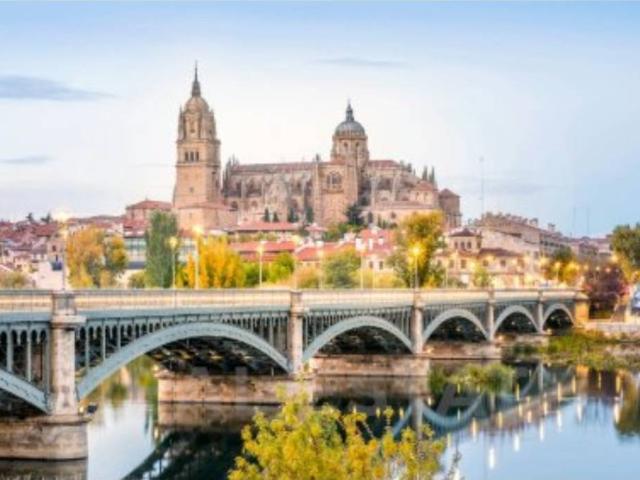 Terreno en Venta en Salamanca