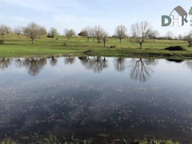 Terreno en Venta en Salamanca