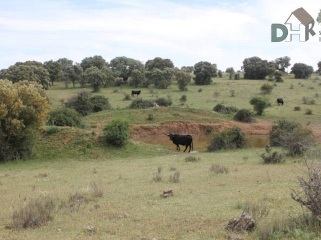 Terreno en Venta en Salamanca