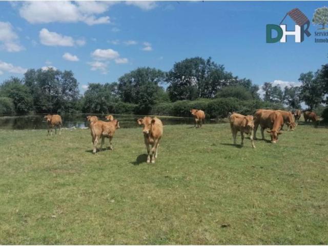 Terreno en Venta en Salamanca