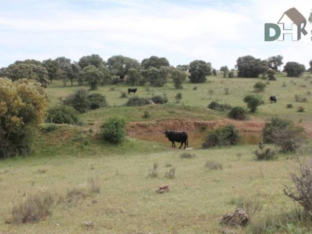 Terreno en Venta en Salamanca