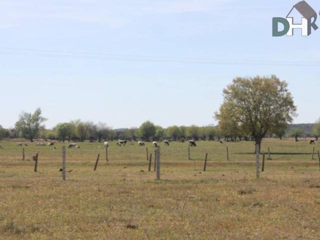 Terreno en Venta en Salamanca