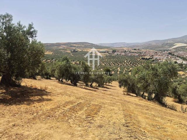 Terreno en Venta en Salar