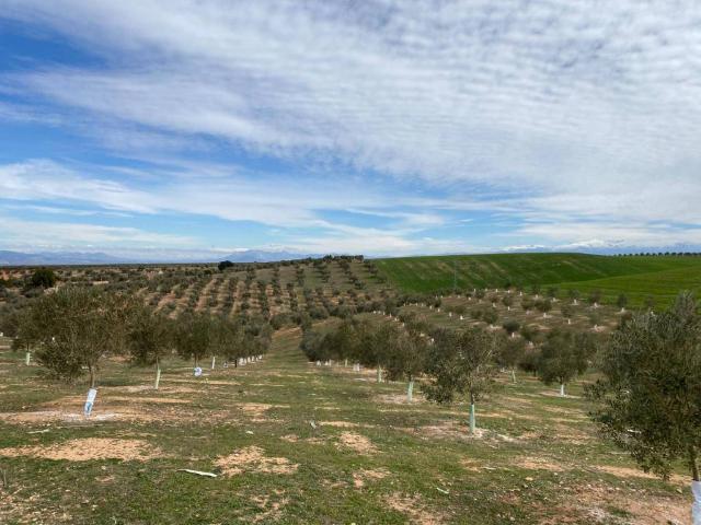 Terreno en Venta en Salar