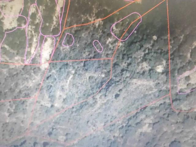 Terreno en Venta en Salas Altas