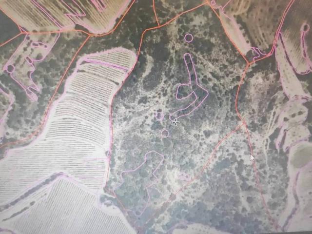Terreno en Venta en Salas Altas