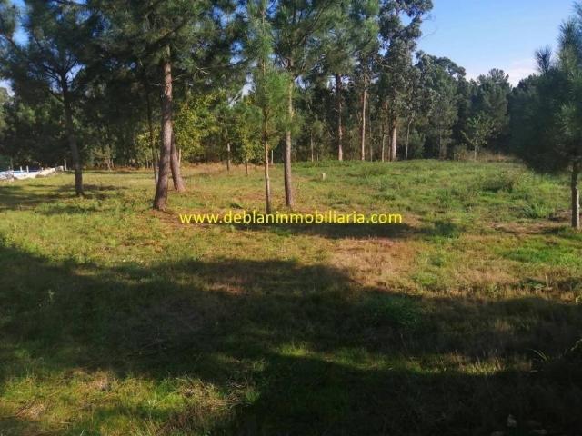 Terreno en Venta en Salceda de Caselas