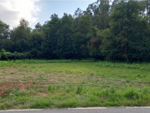 Terreno en Venta en Salceda de Caselas