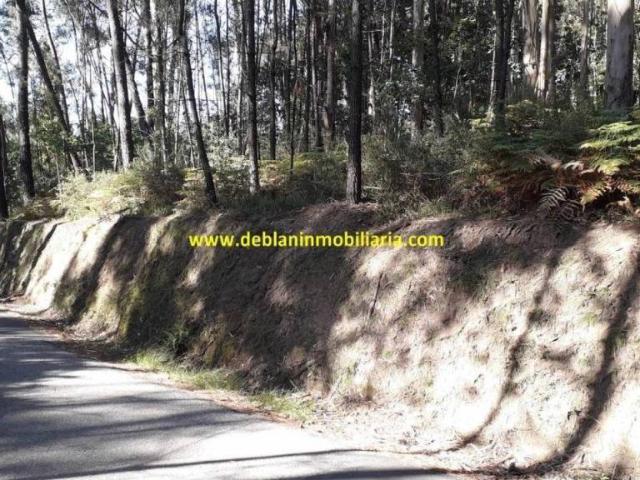 Terreno en Venta en Salceda de Caselas