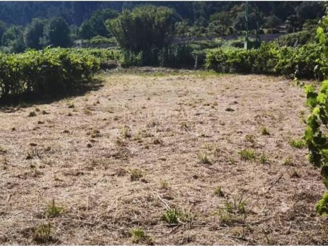 Terreno en Venta en Salceda de Caselas