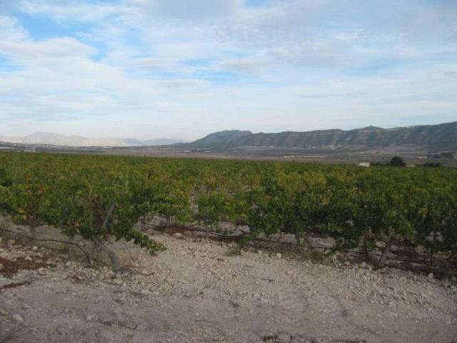 Terreno en Venta en Salinas