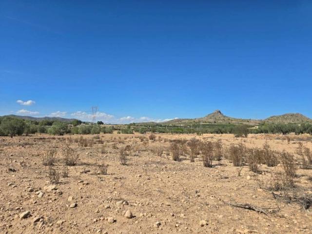 Terreno en Venta en Salinas