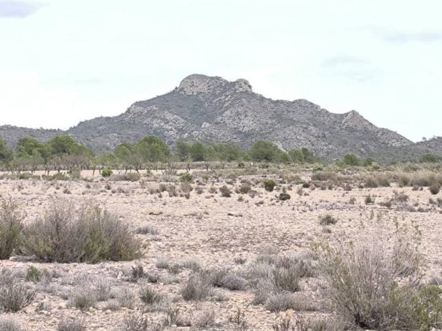 Terreno en Venta en Salinas