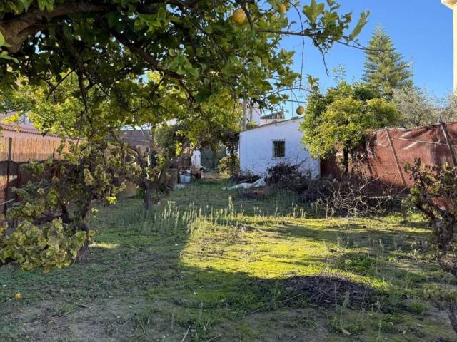 Terreno en Venta en Salteras