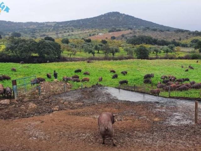 Terreno en Venta en Salvaleón