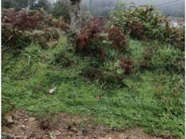 Terreno en Venta en Salvaterra de Miño