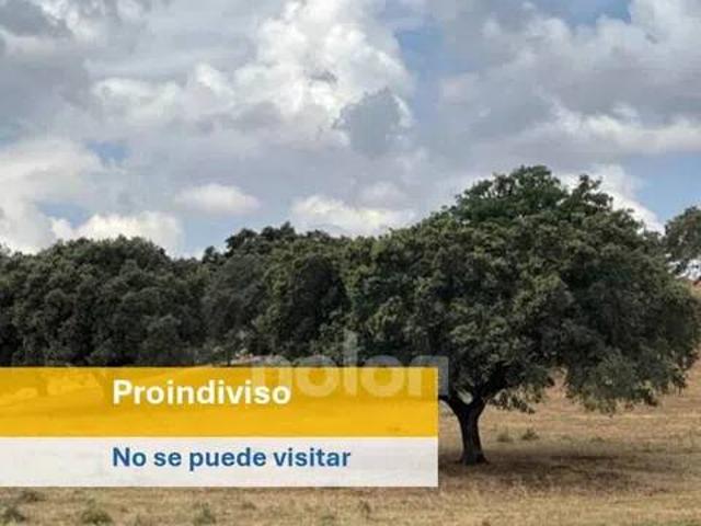 Terreno en Venta en San Vicente de Alcántara