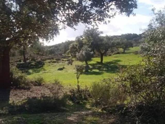 Terreno en Venta en San Vicente de Alcántara