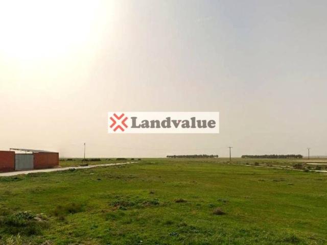 Terreno en Venta en San Vicente de Arévalo