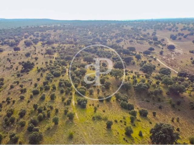 Terreno en Venta en San Agustín del Guadalix
