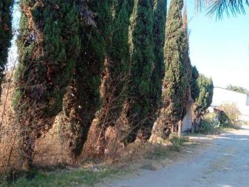 Terreno En Venta En San Antonio Cacalotepec En Buenavista