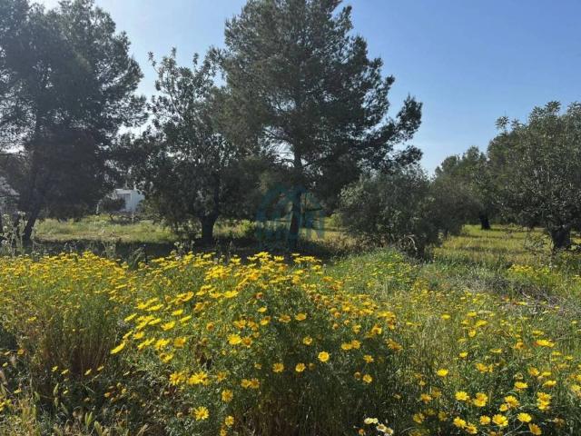 Terreno en Venta en San Antonio de Benagéber
