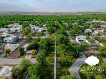 Terreno en Venta en San Armando, Torreón, Coahuila de Zaragoza
