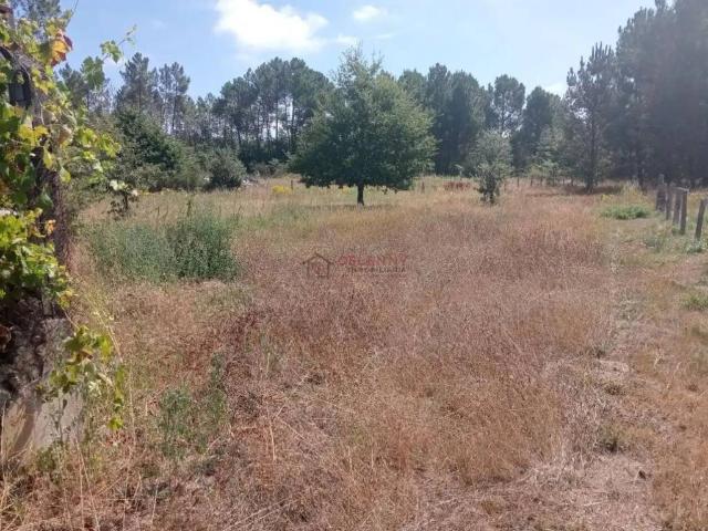 Terreno en Venta en San Cibrao das Viñas