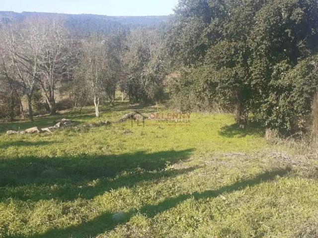 Terreno en Venta en San Cibrao das Viñas