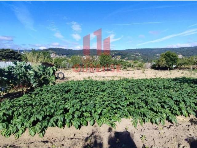 Terreno en Venta en San Cibrao das Viñas