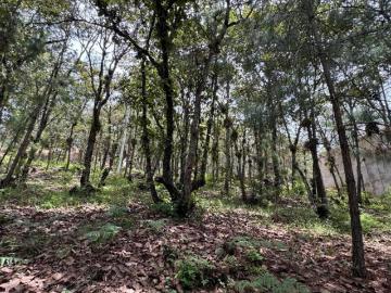 TERRENO EN VENTA EN SAN CRISTÓBAL DE LAS CASAS, CHIAPAS