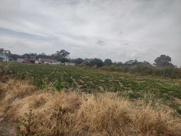 Terreno en venta en San Diego Acapulco, Atlixco, Puebla