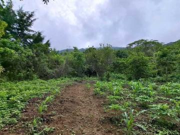 Terreno en venta en san fernando