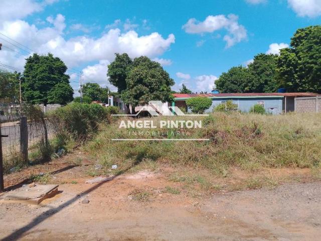 Terreno en Venta en San Francisco Zulia
