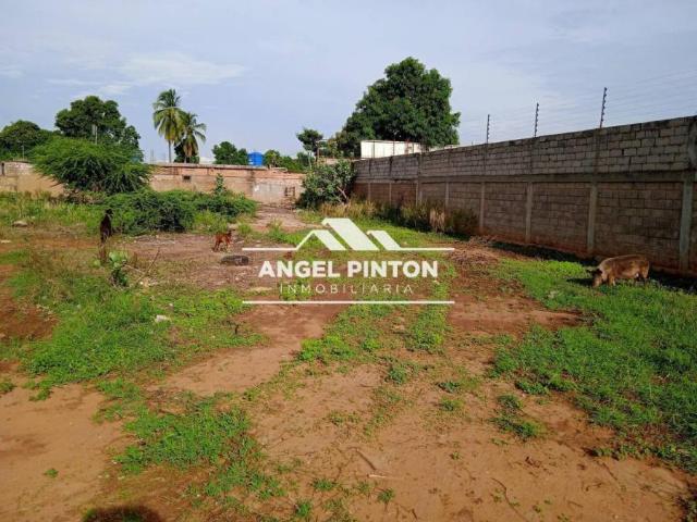 Terreno en Venta en San Francisco Zulia