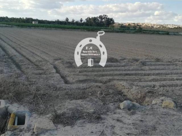 Terreno en Venta en San Fulgencio