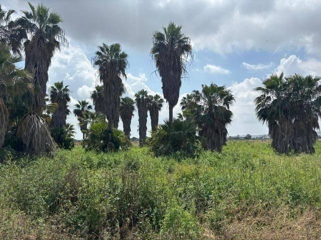 Terreno en Venta en San Fulgencio