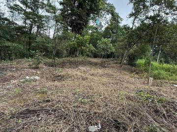 TERRENO EN VENTA EN SAN ISIDRO, XICOTEPEC