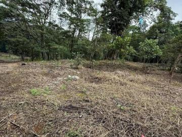 TERRENO EN VENTA EN SAN ISIDRO, XICOTEPEC