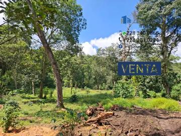 Terreno en venta en San Jacinto, Coatepec, Veracruz de Ignacio de la Llave