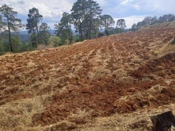 TERRENO EN VENTA EN SAN JERÓNIMO ZACAPEXCO