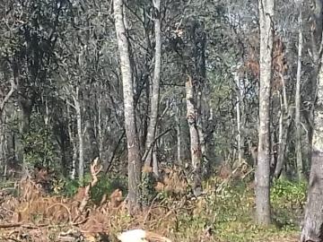Terreno en venta en San José Maquixtla, Zacatlán, Puebla