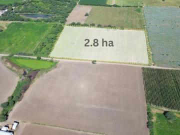 Terreno en Venta en San José del Bosque, Silao