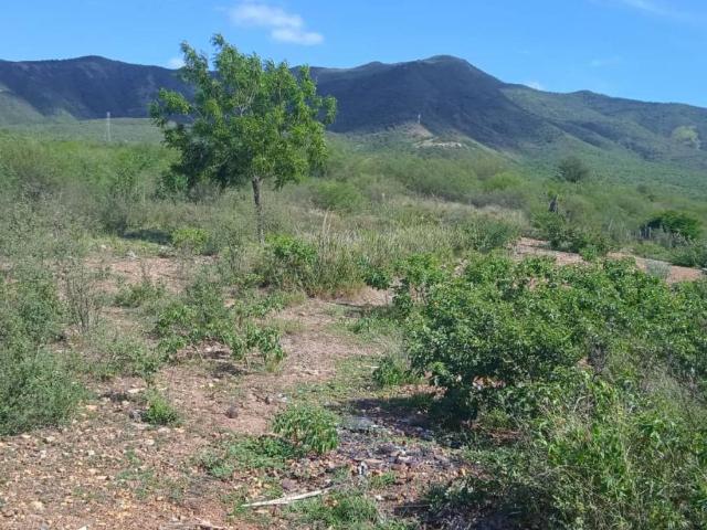 Terreno en Venta en San Juan Bautista Nueva Esparta