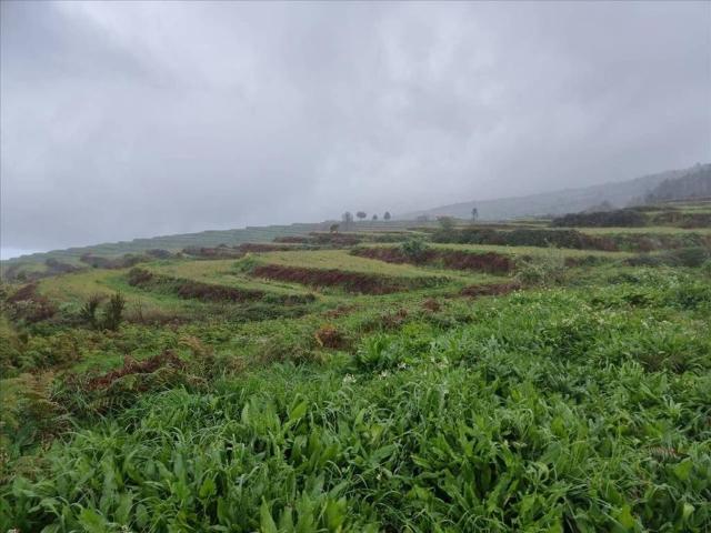 Terreno en Venta en San Juan de La Rambla