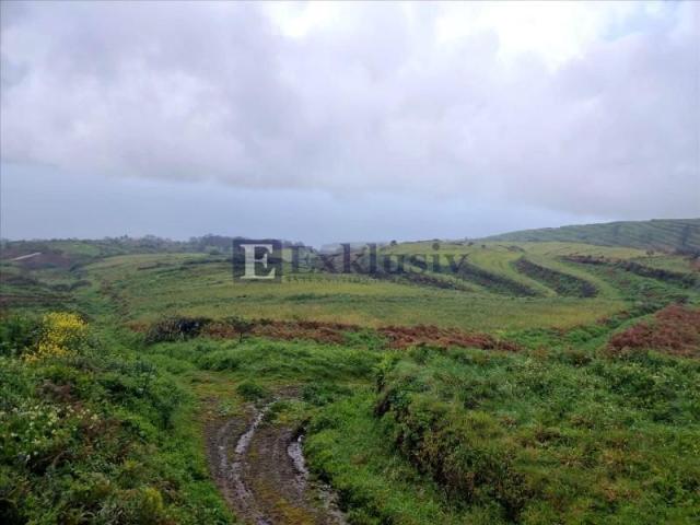 Terreno en venta en San Juan de la Rambla, Fuente del bardo, 38420
