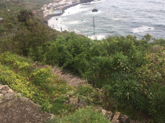 Terreno en venta en San Juan de la Rambla, San Juan De La Rambla