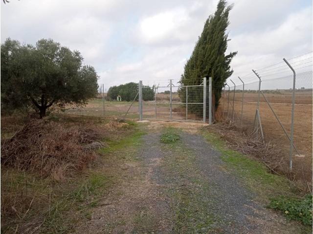 Terreno en venta en San Juan del Puerto