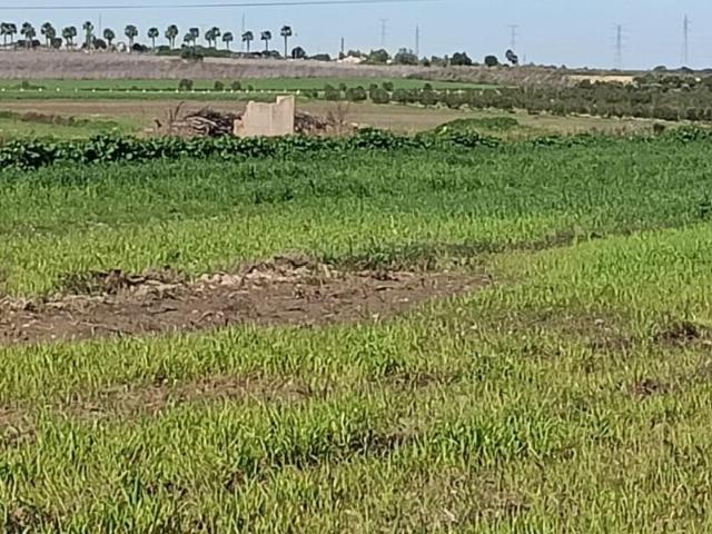 Terreno en venta en San Juan del Puerto, San juan del puerto