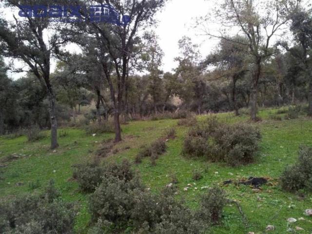 Terreno en Venta en San Lorenzo de Calatrava